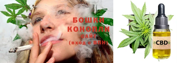 тгк Шадринск