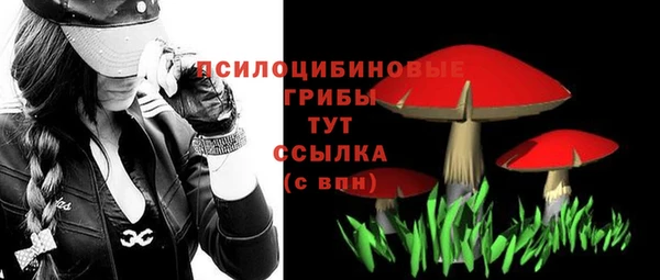 тгк Шадринск