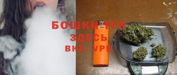 тгк Шадринск