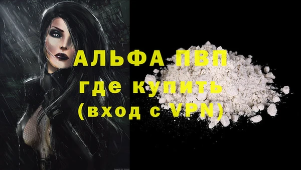 тгк Шадринск