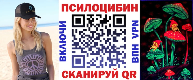 Купить закладки  Пудож  Галлюциногенные грибы Cubensis 